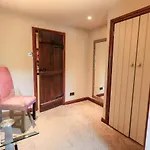 The Curious Orange *